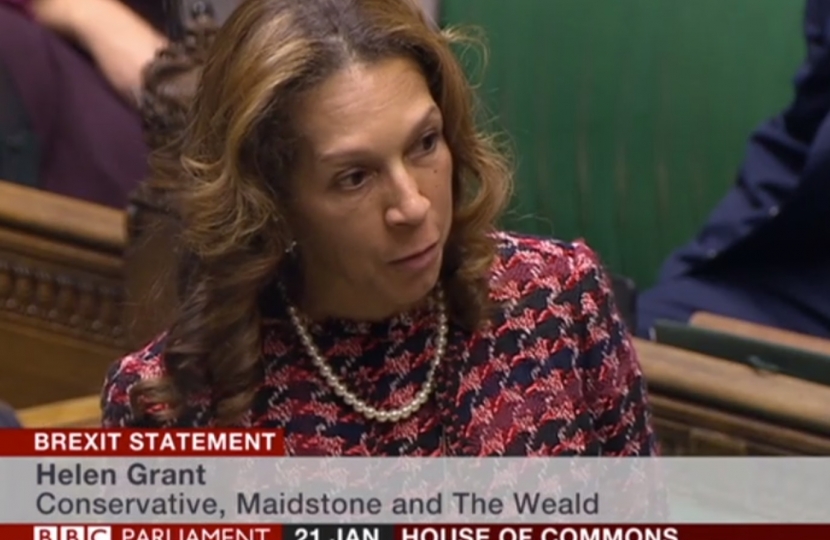 Helen speaking in the House of Commons